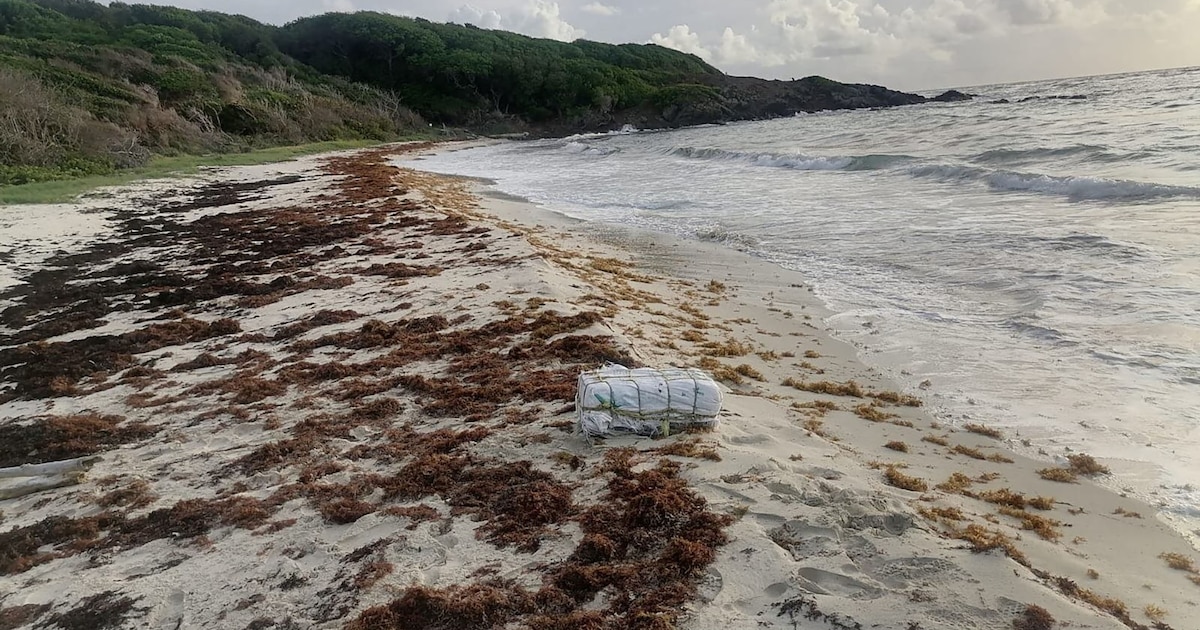 Narcotraficantes evaden buques de EE. UU. en el Caribe, mientras el Pacífico concentra el tráfico de drogas